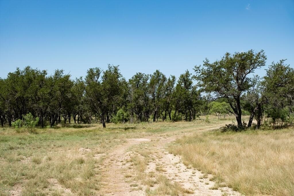 135 acres in Schleicher County - photo 31