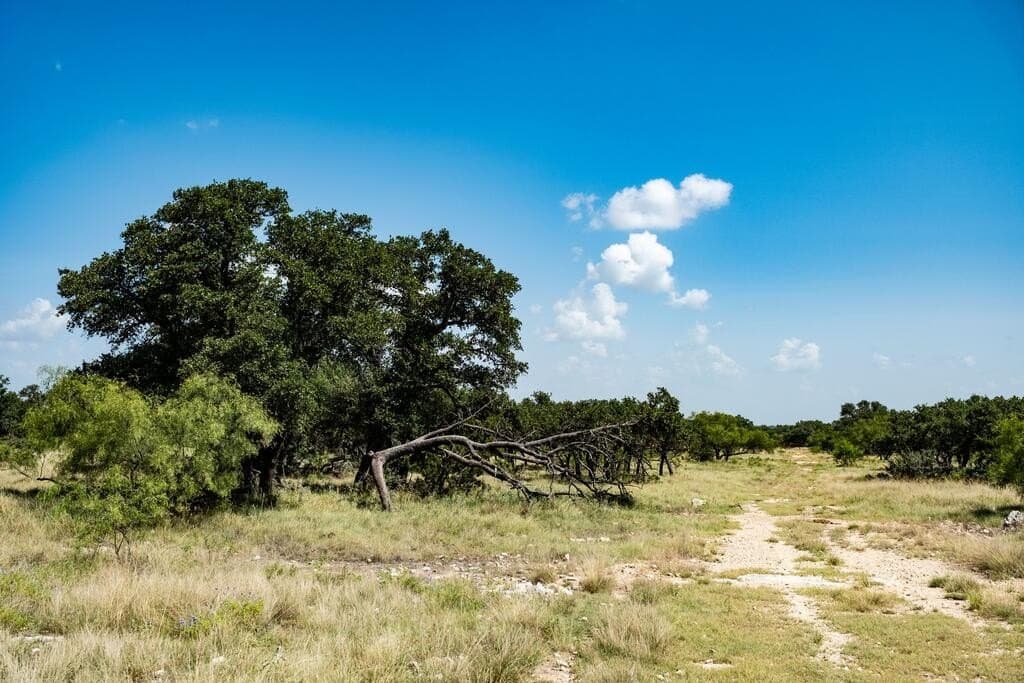 135 acres in Schleicher County - photo 32