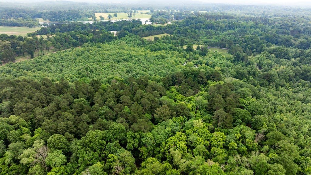 150 acres in Texas County - photo 14
