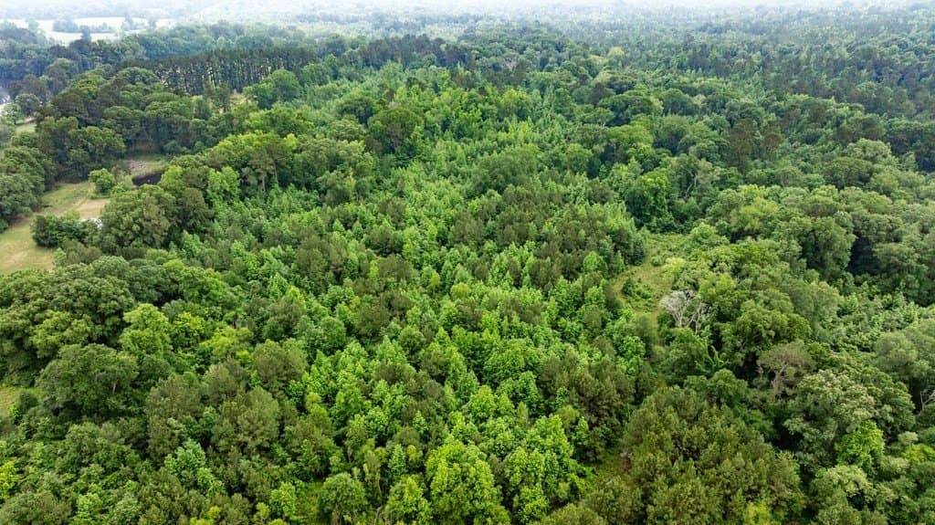150 acres in Texas County - photo 16