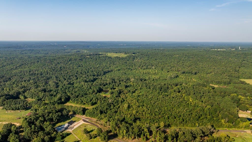 150 acres in Texas County gallery image 4