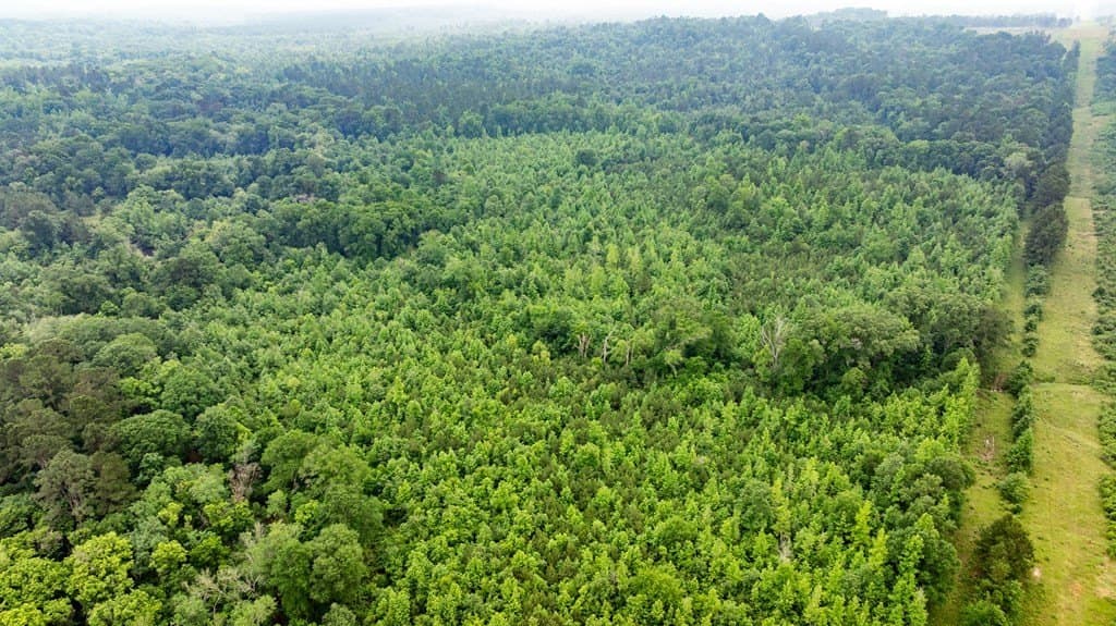 150 acres in Texas County - photo 13