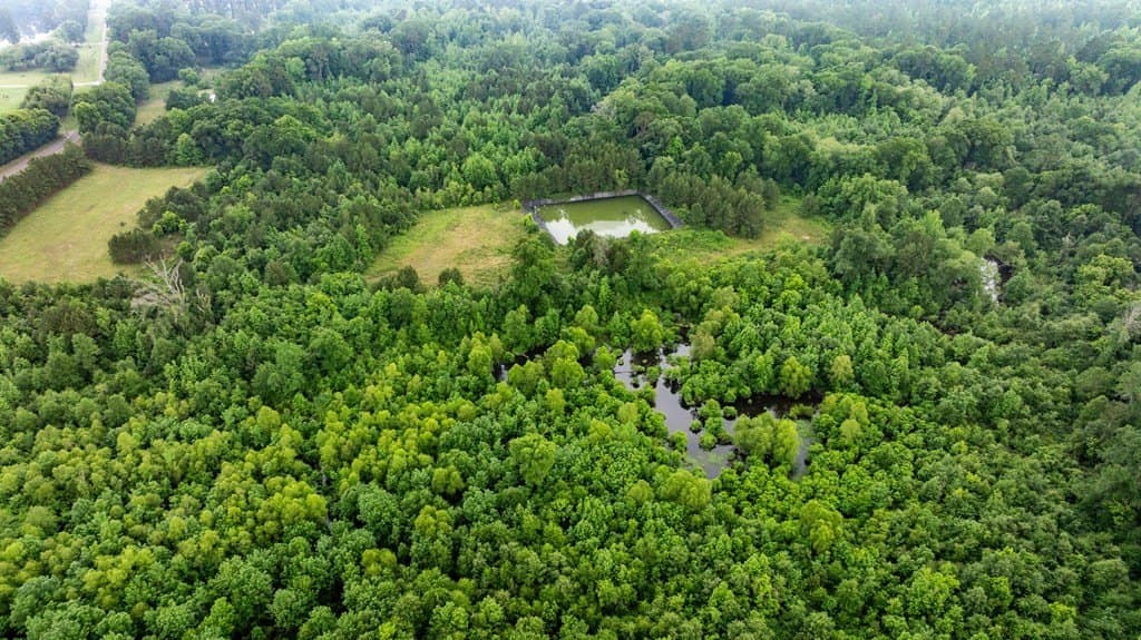 150 acres in Texas County - photo 18