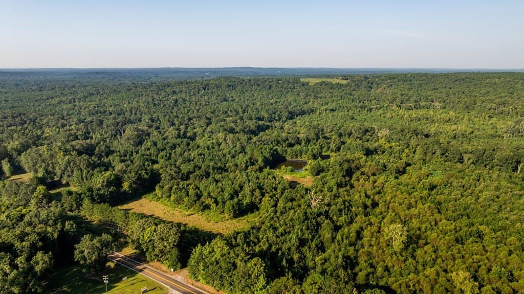 150 acres in Texas County featured view
