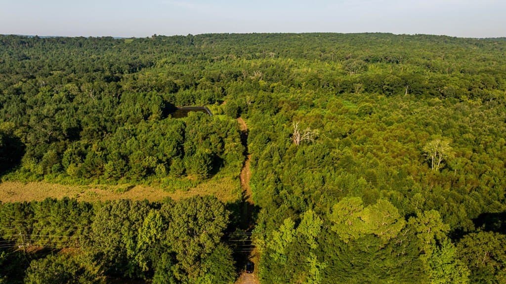 150 acres in Texas County - photo 6