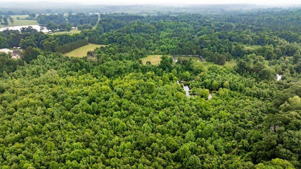 150 acres in Texas County - photo 15