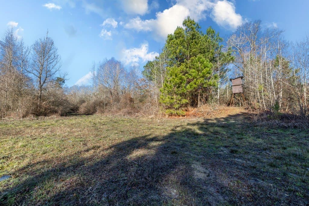 150 acres in Texas County - photo 11