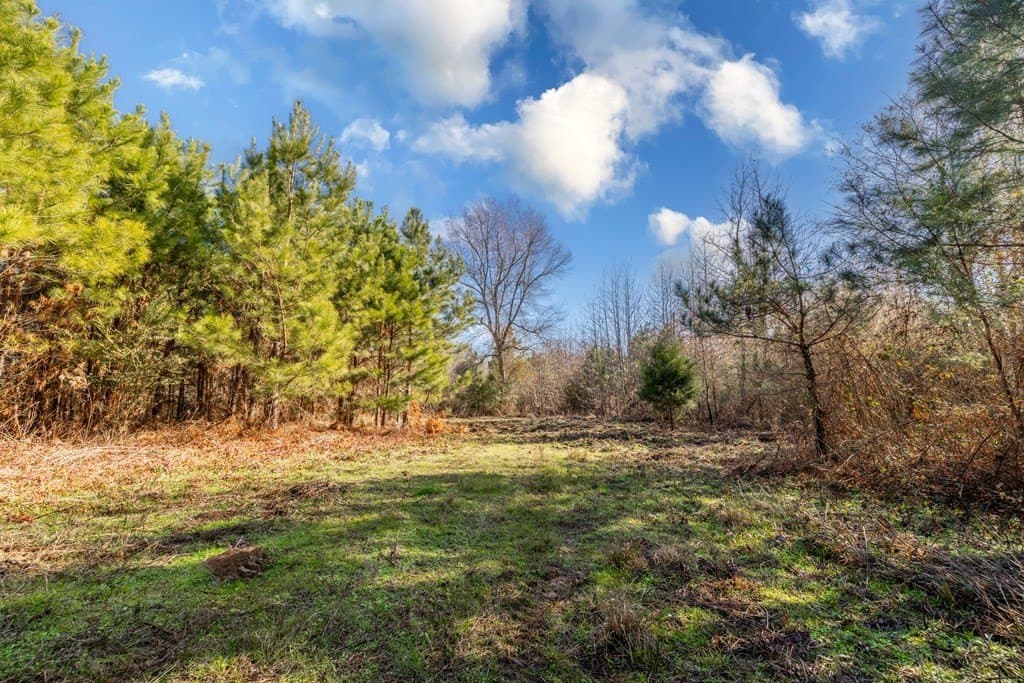150 acres in Texas County - photo 8