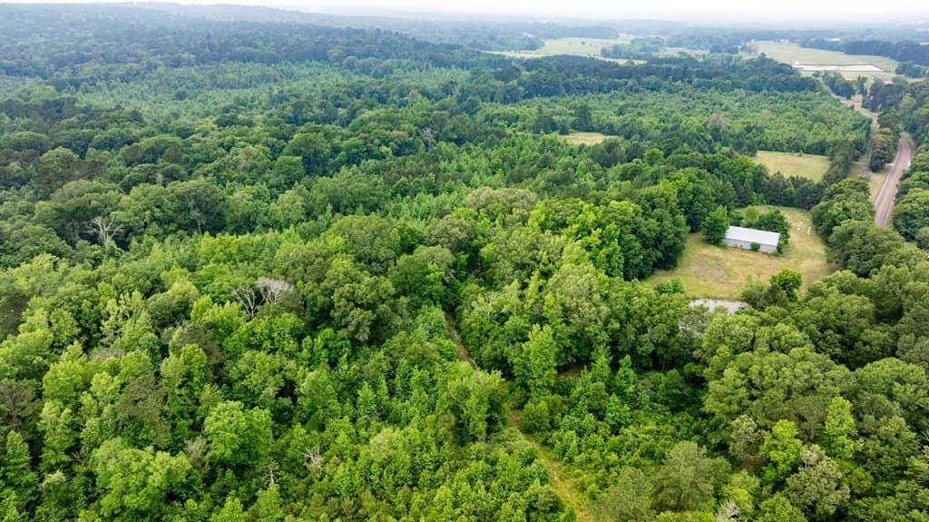150 acres in Texas County - photo 17