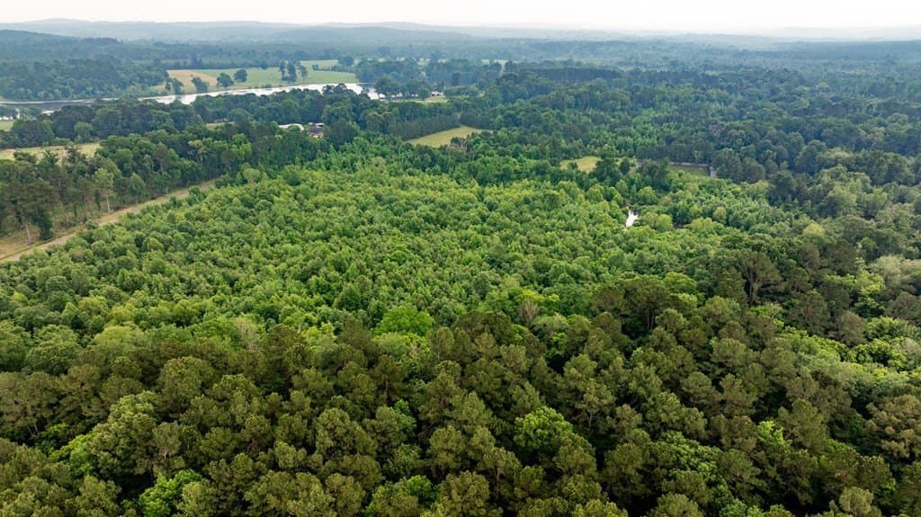 150 acres in Texas County - photo 20