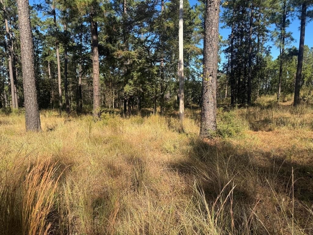 1.09 acres in Texas County - photo 11