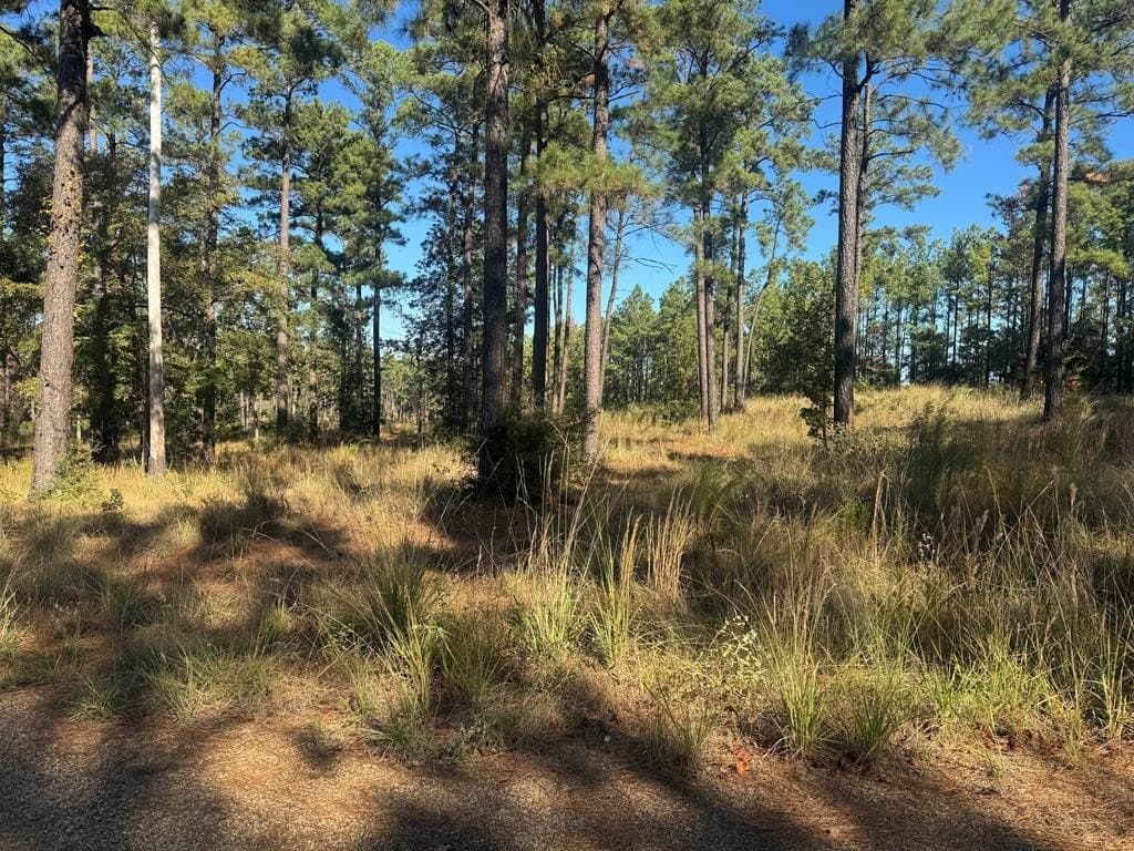 1.09 acres in Texas County gallery image 3