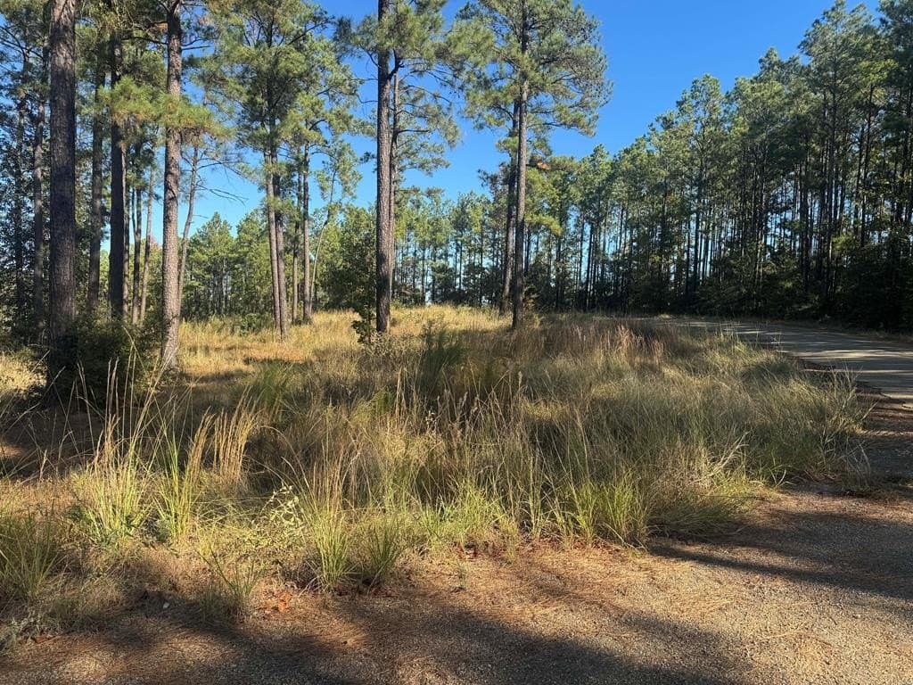 1.09 acres in Texas County gallery image 2