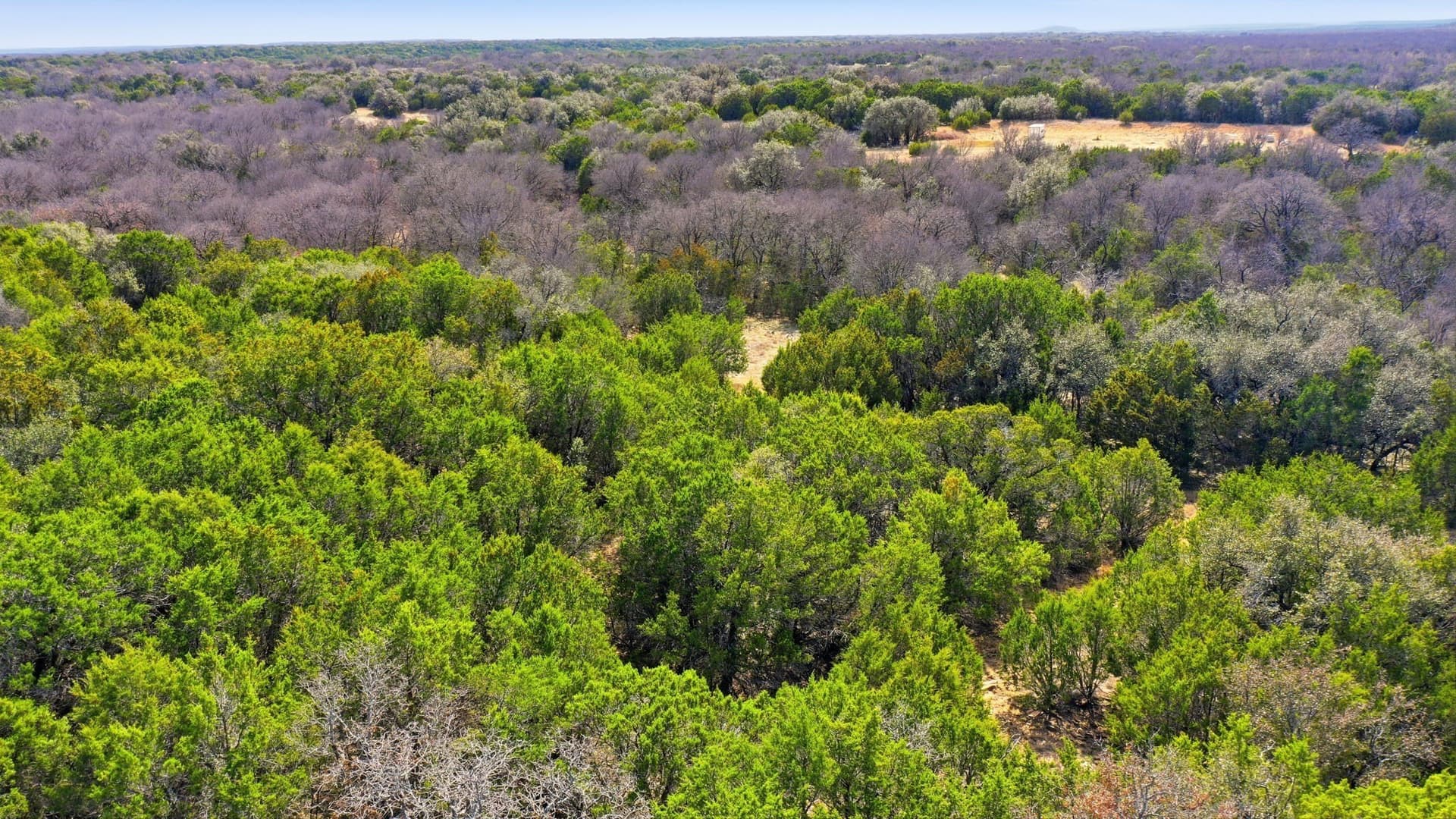 10 acres in Stephens County - photo 12