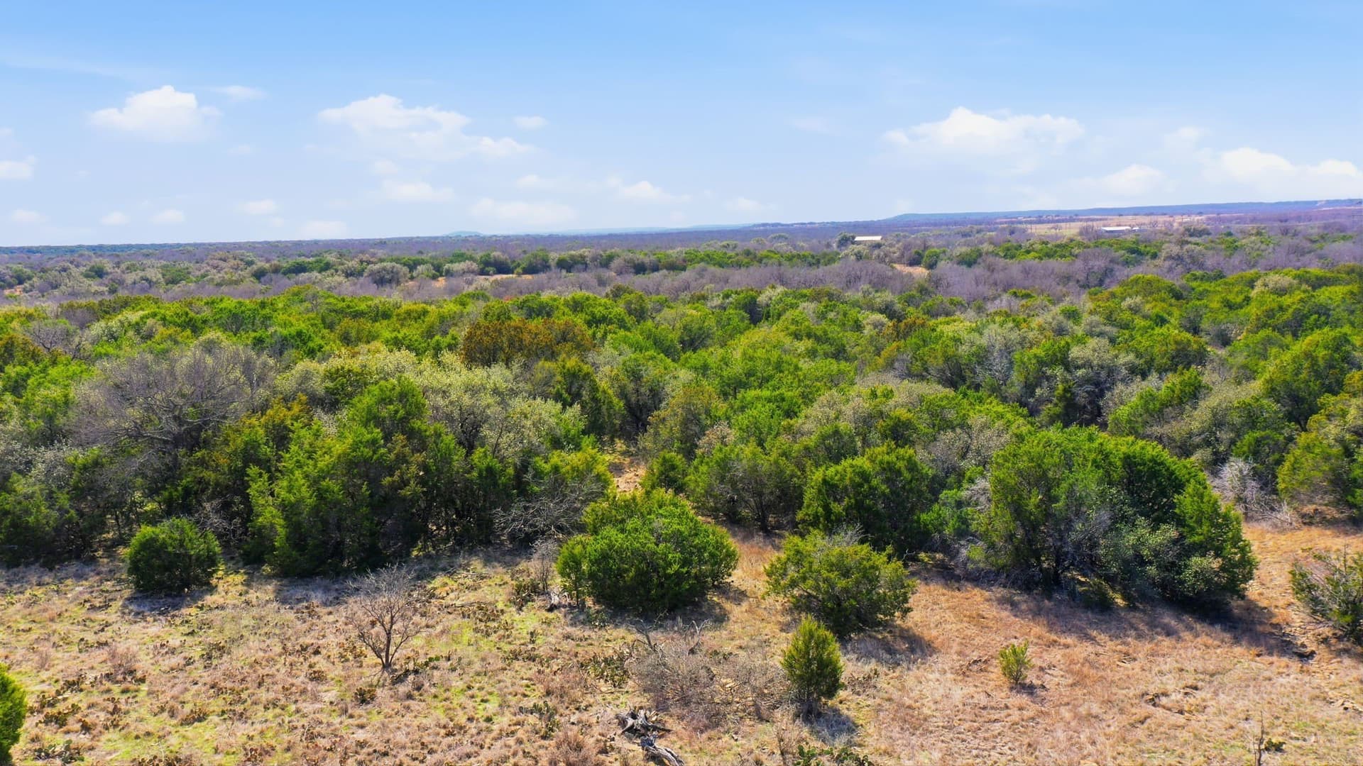10 acres in Stephens County - photo 15