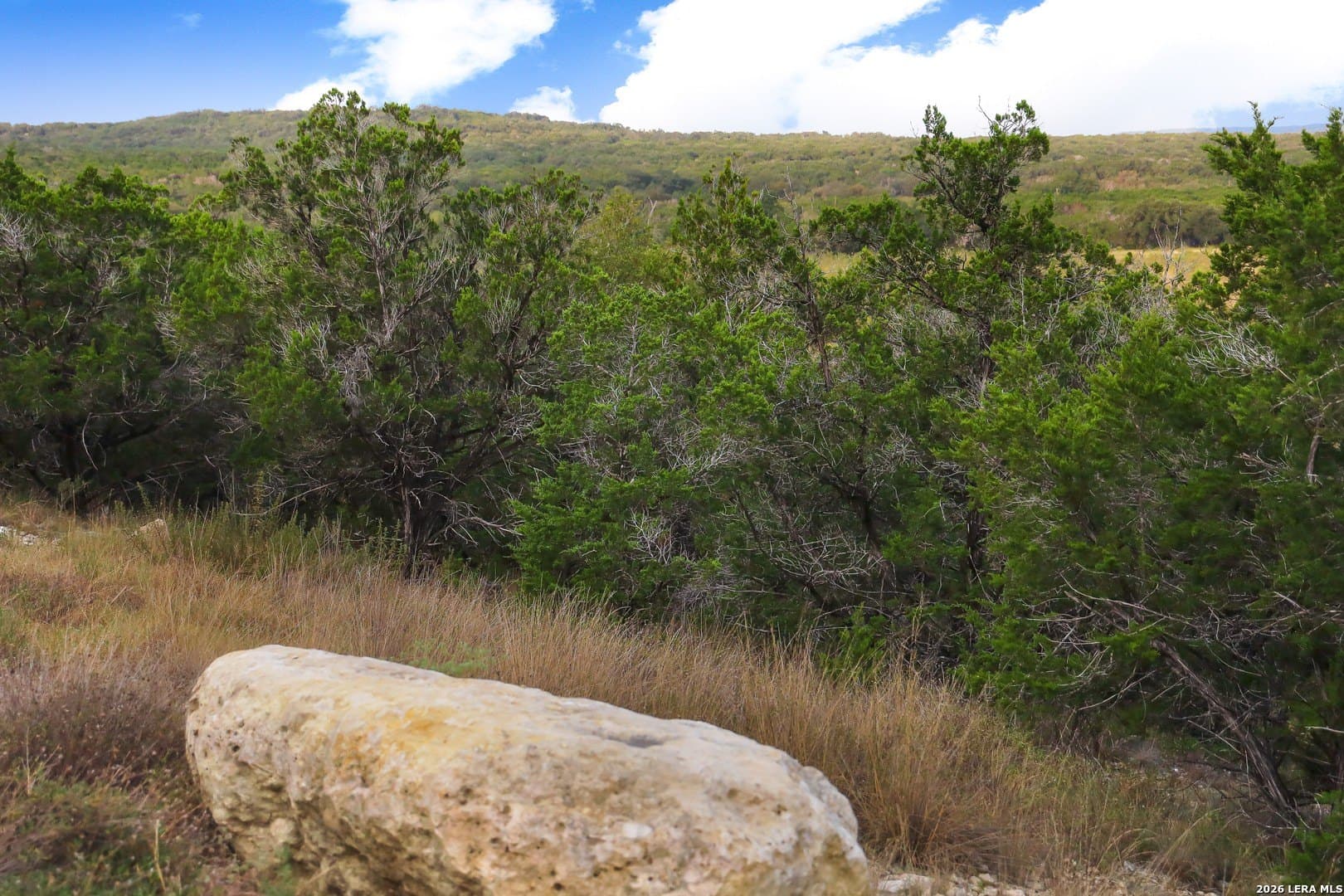 2.85 acres in Comal County - photo 23