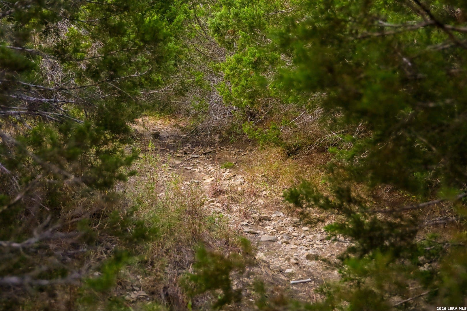 2.85 acres in Comal County - photo 72