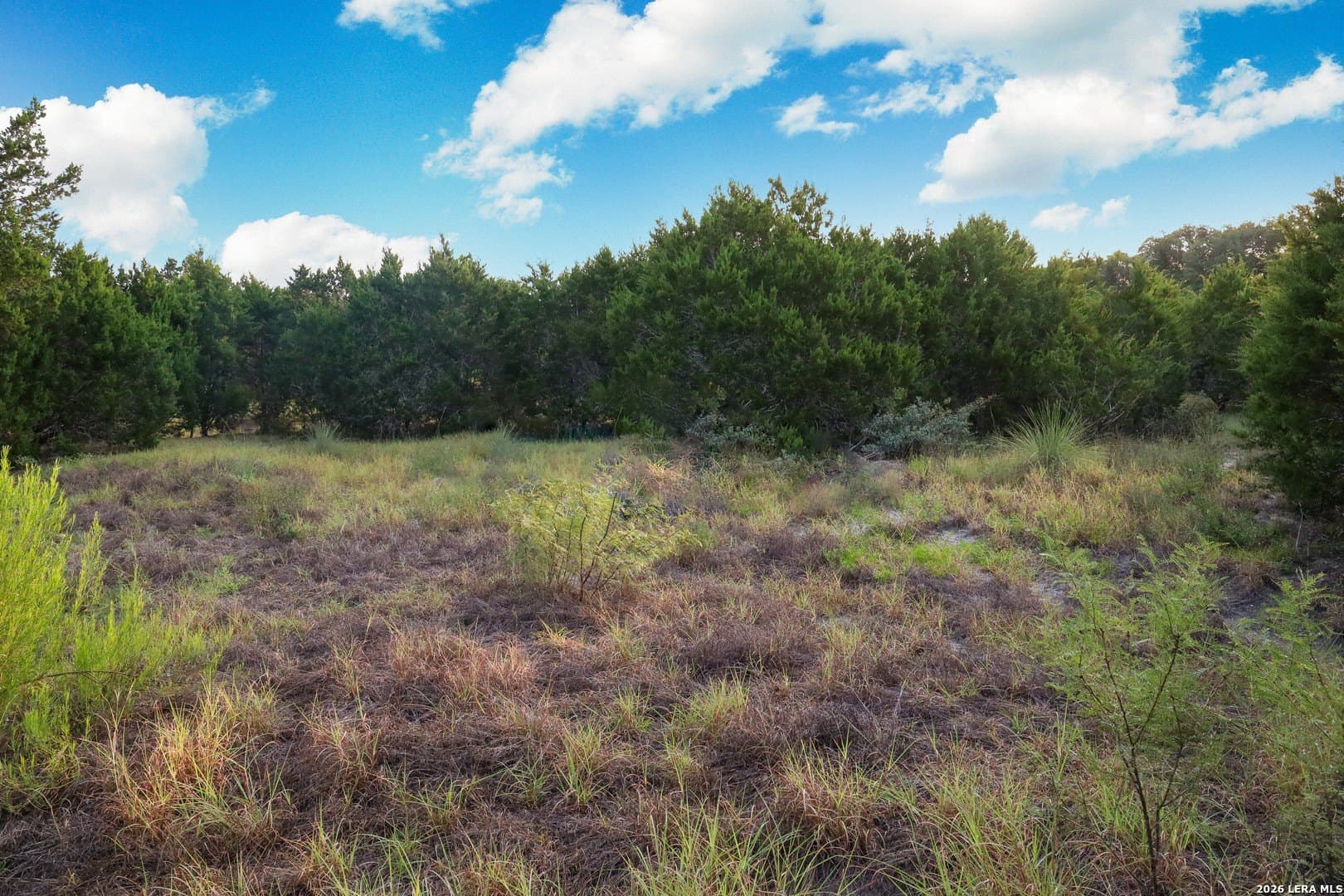 2.85 acres in Comal County - photo 69