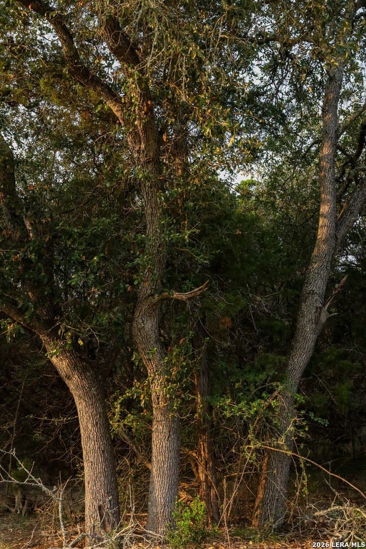 2.85 acres in Comal County - photo 74