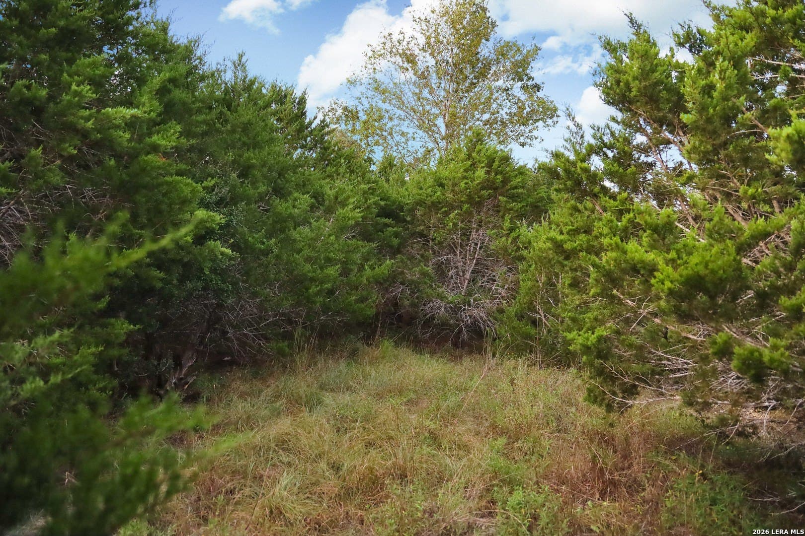 2.85 acres in Comal County - photo 67
