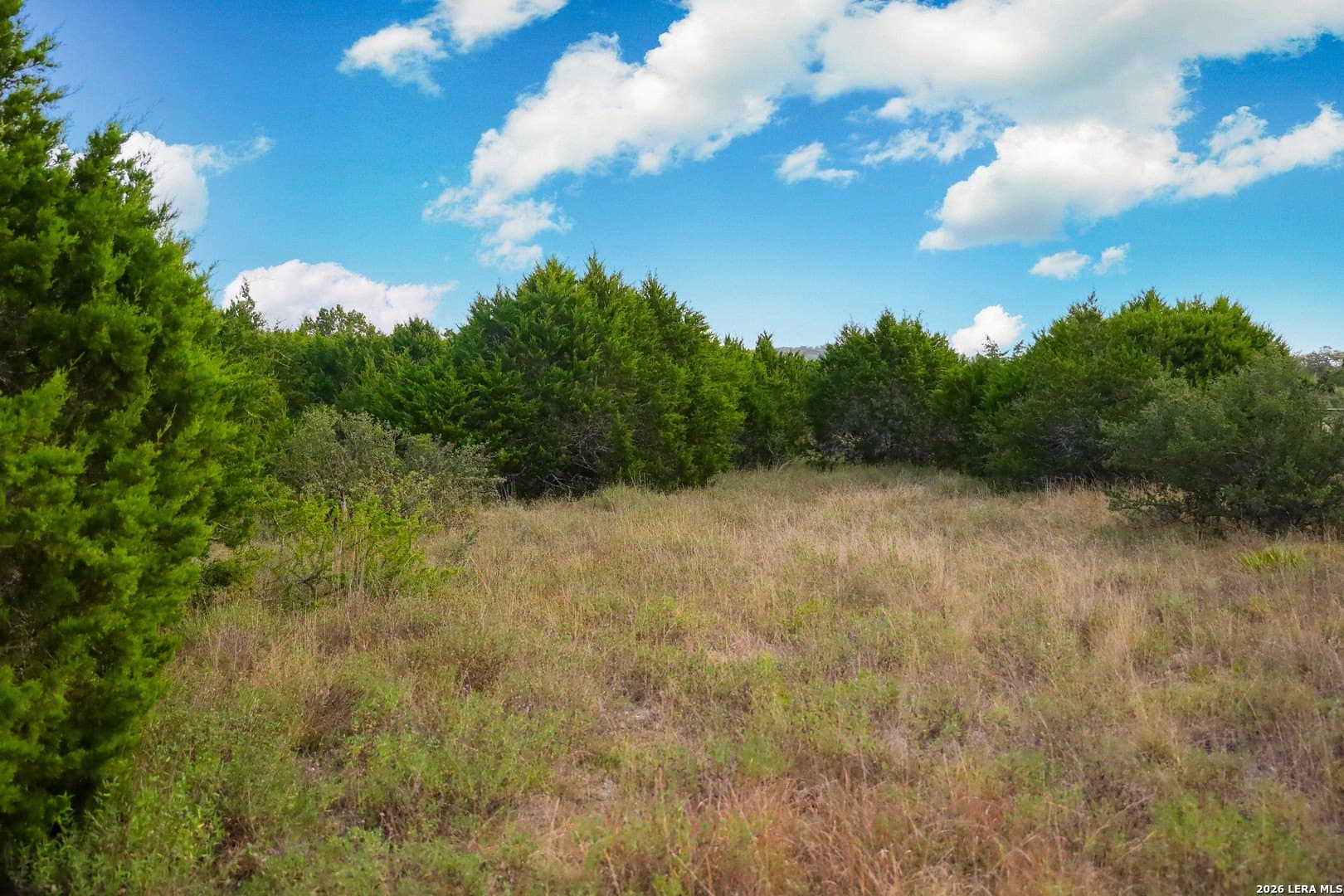 2.85 acres in Comal County - photo 68
