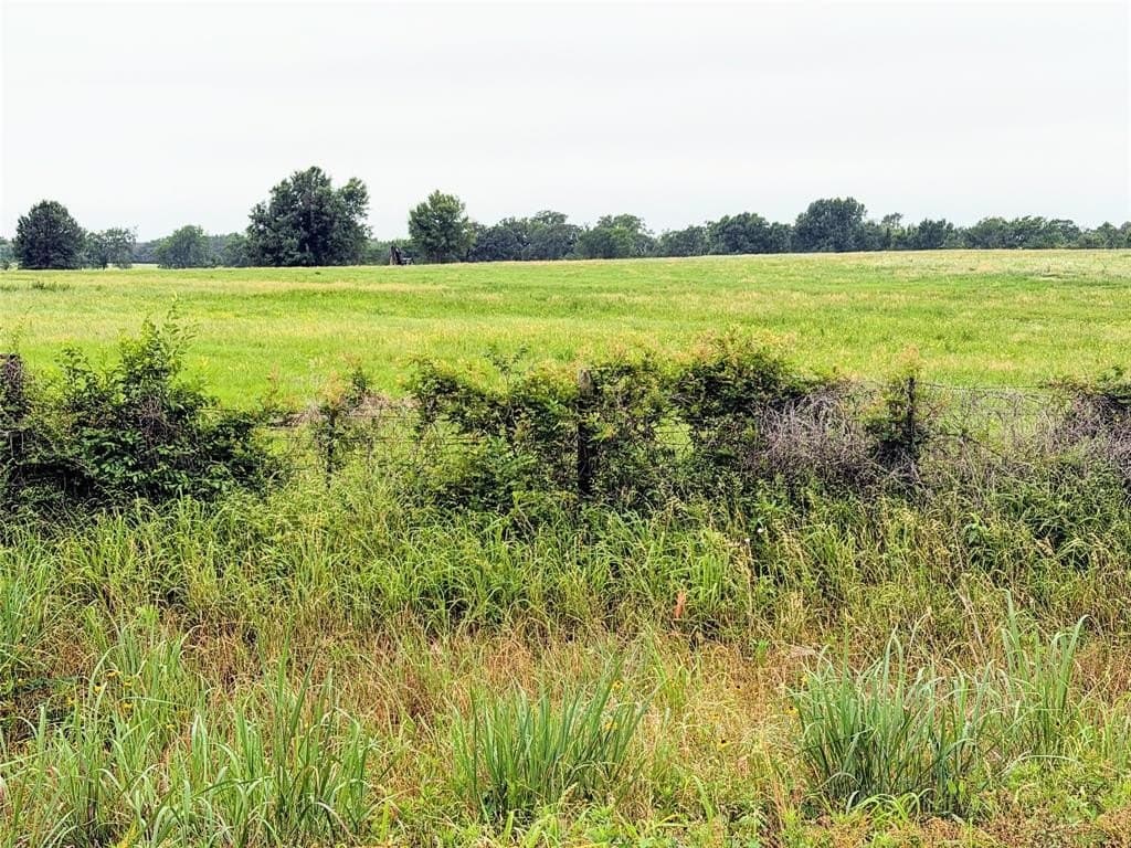 35 acres in Limestone County gallery image 4