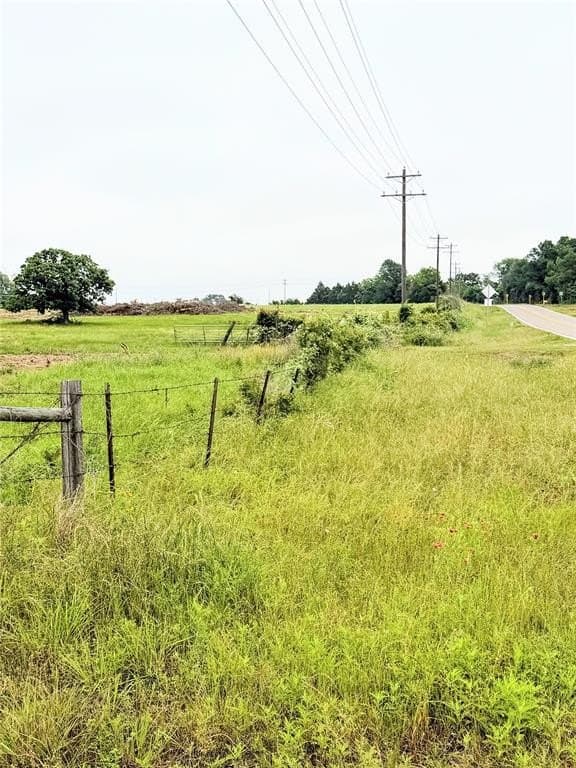 35 acres in Limestone County gallery image 3
