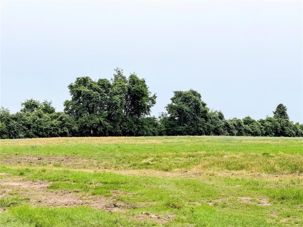 35 acres in Limestone County gallery image 2