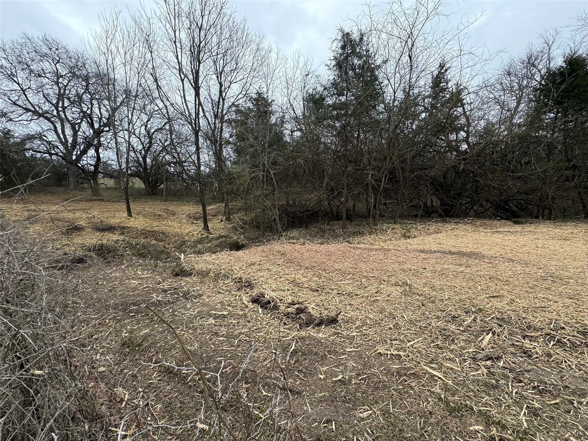 10.01 acres in Delta County gallery image 4