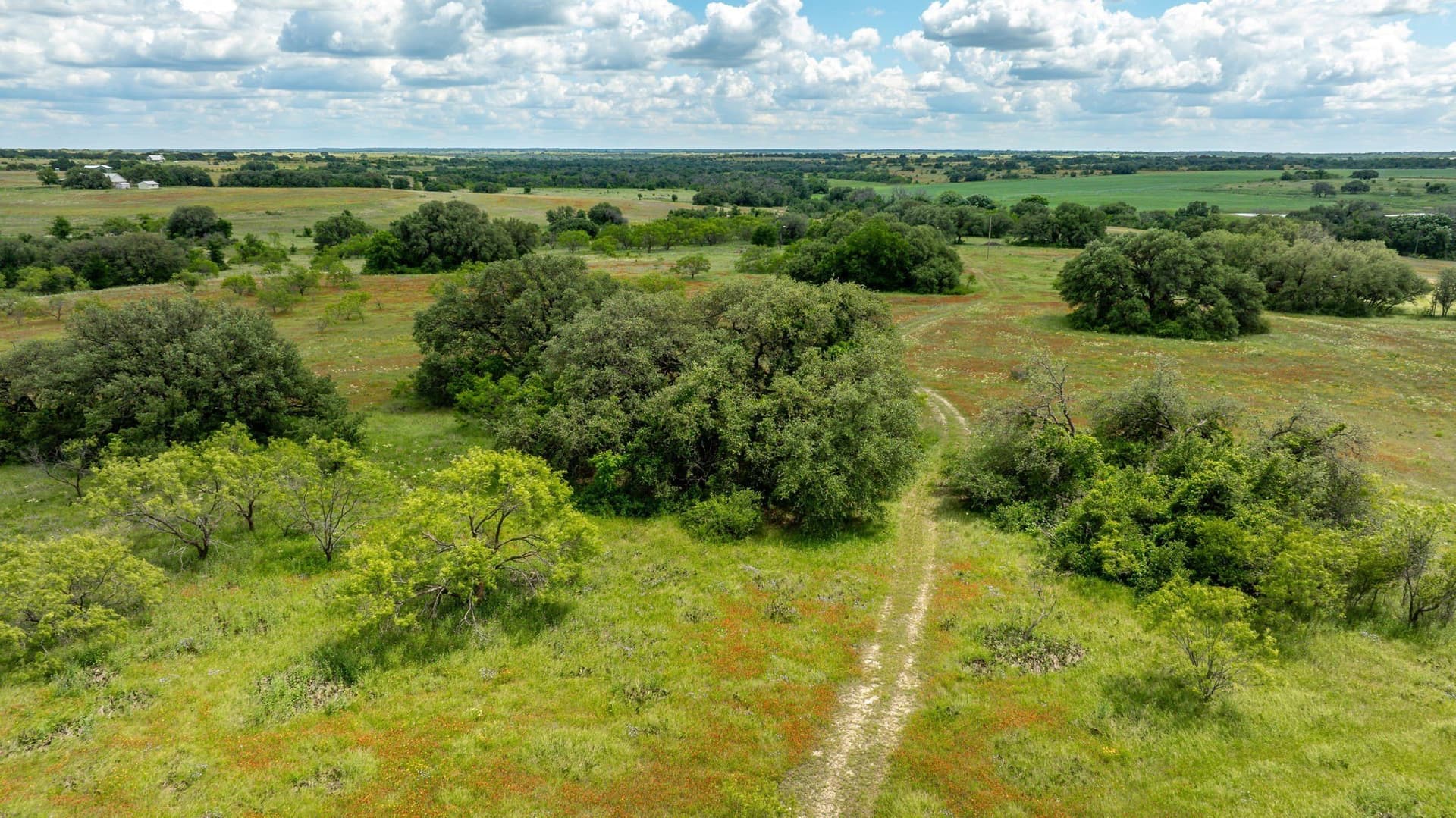 93.07 acres in Erath County - photo 11