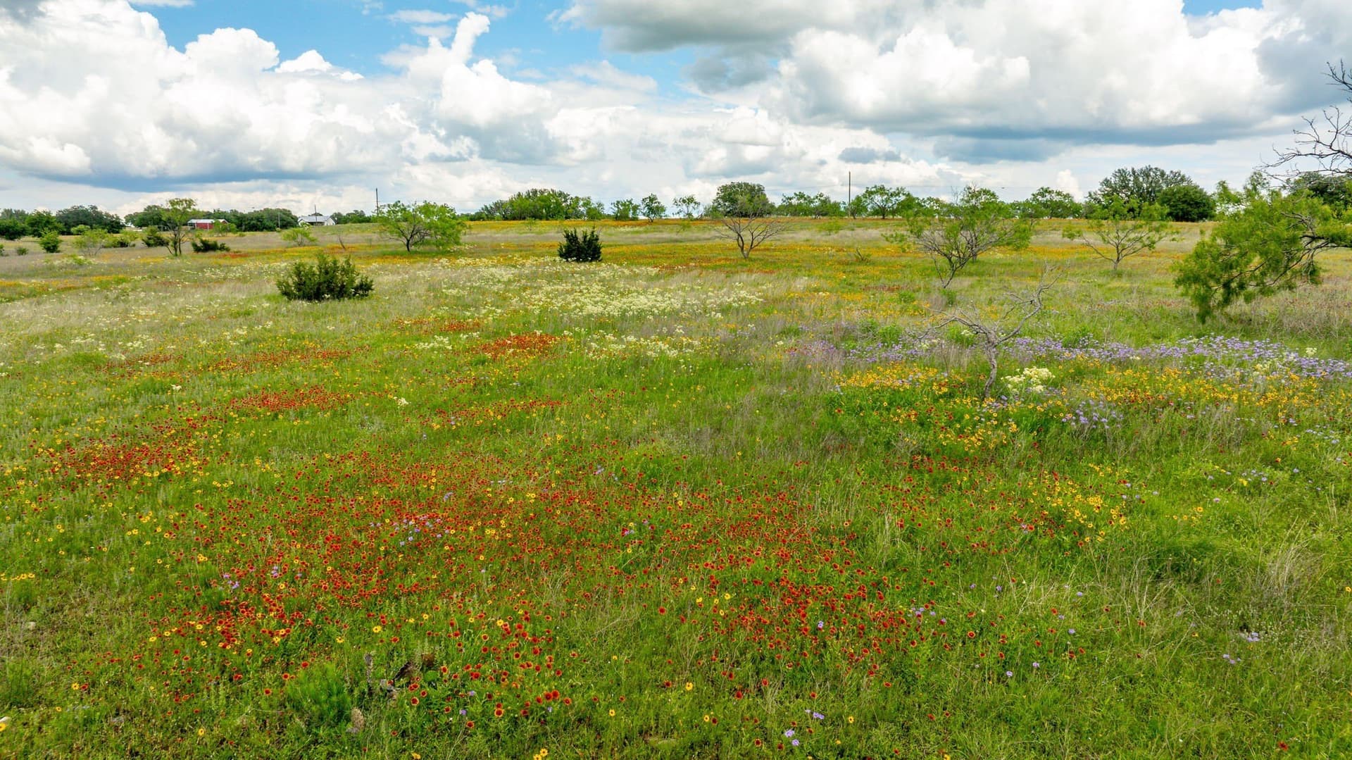 93.07 acres in Erath County - photo 28