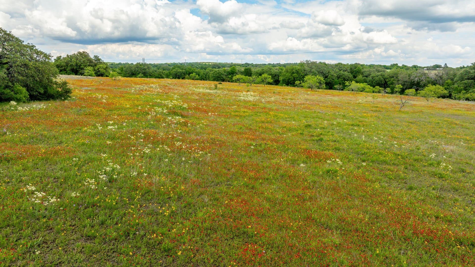 93.07 acres in Erath County - photo 29