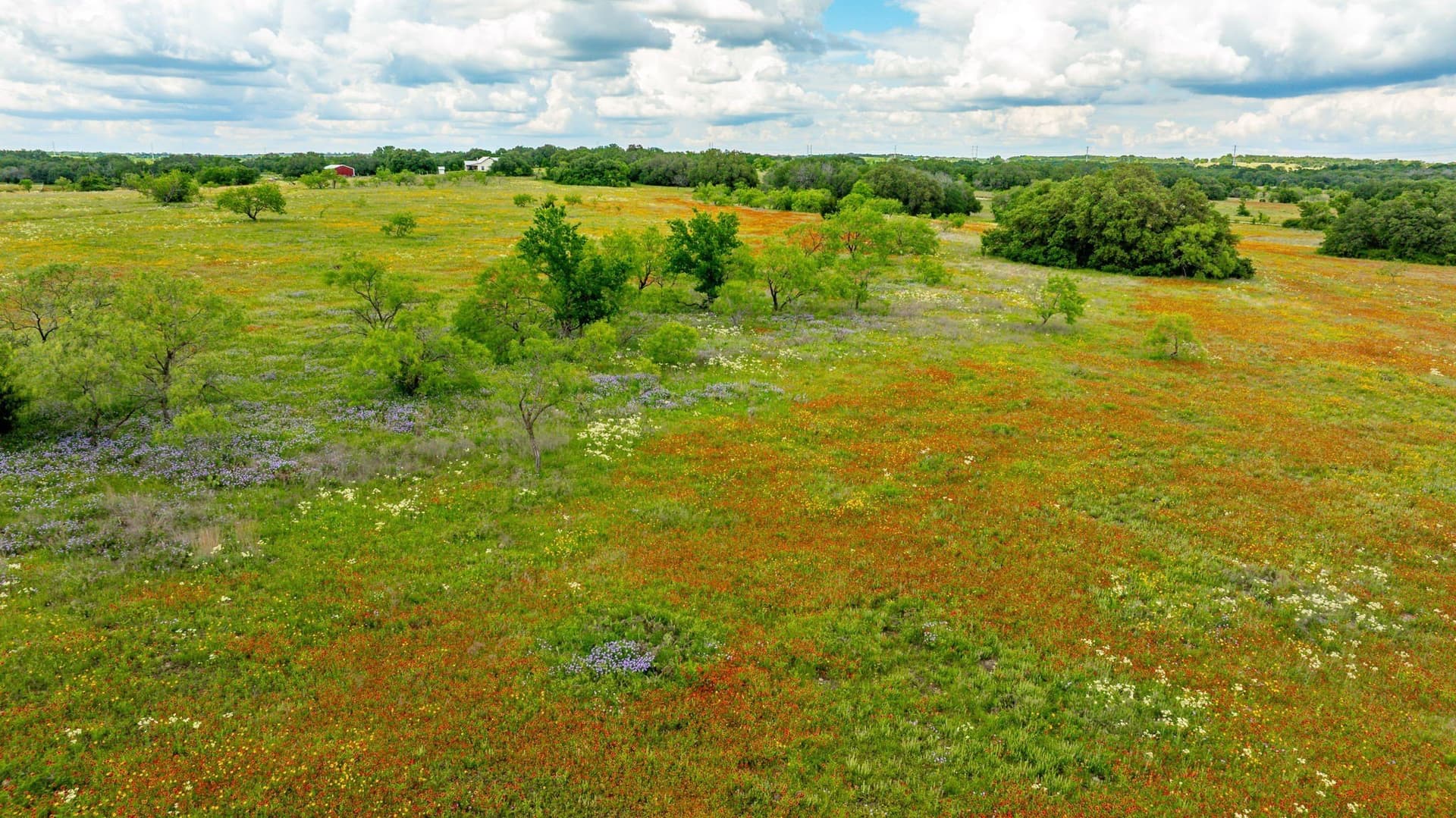 93.07 acres in Erath County - photo 8