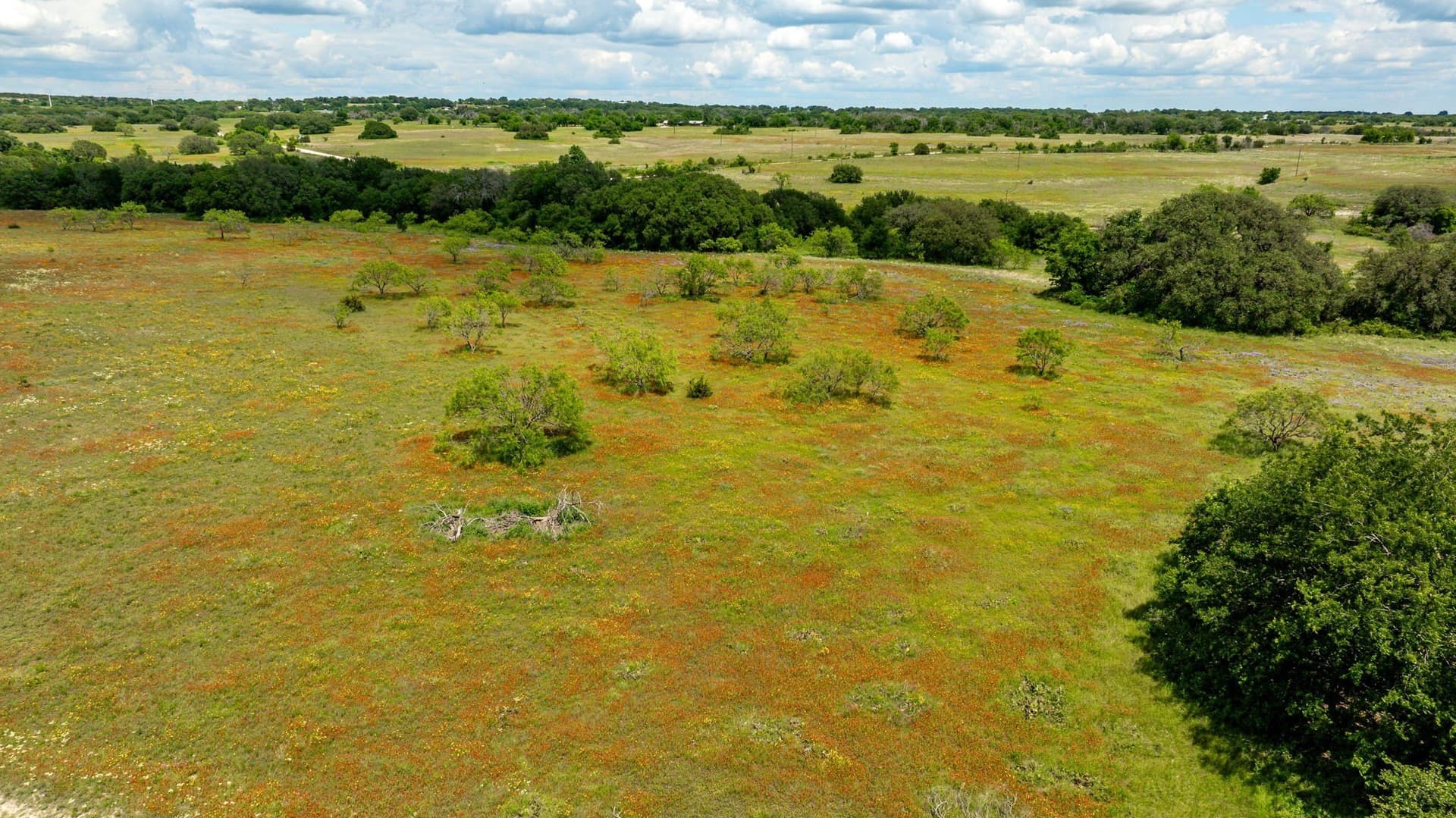 93.07 acres in Erath County - photo 27