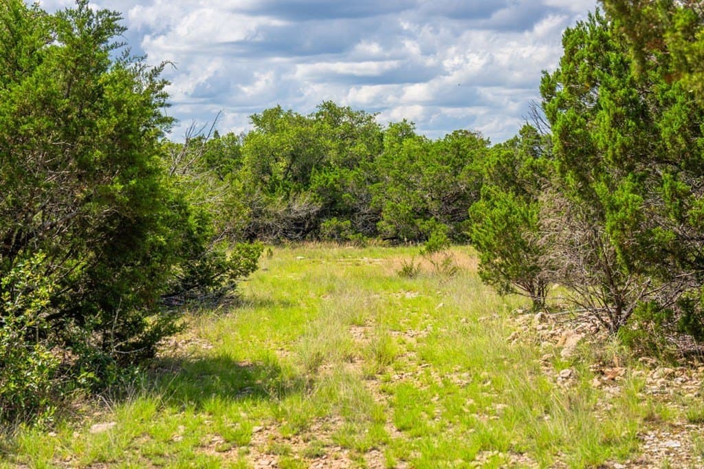 41.47 acres in Edwards County - photo 16