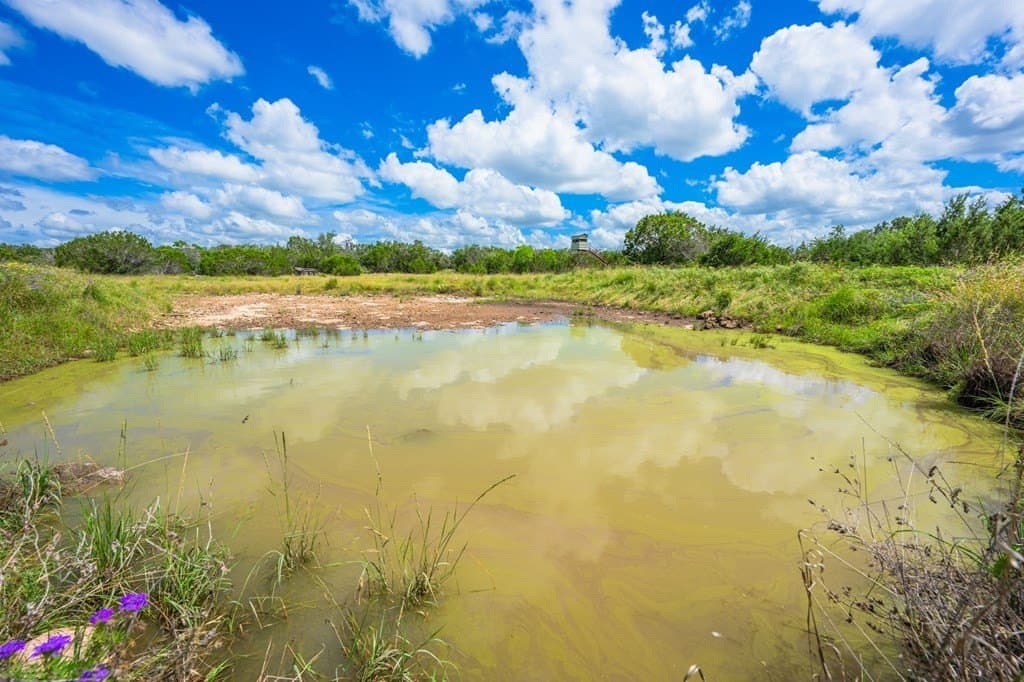 41.47 acres in Edwards County - photo 22