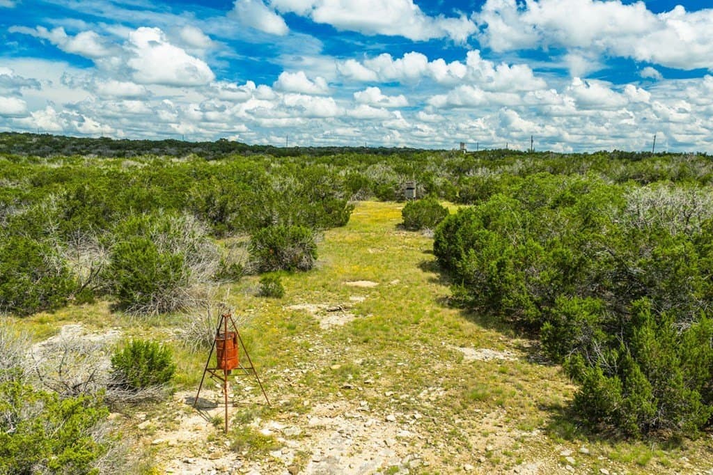 41.47 acres in Edwards County - photo 8