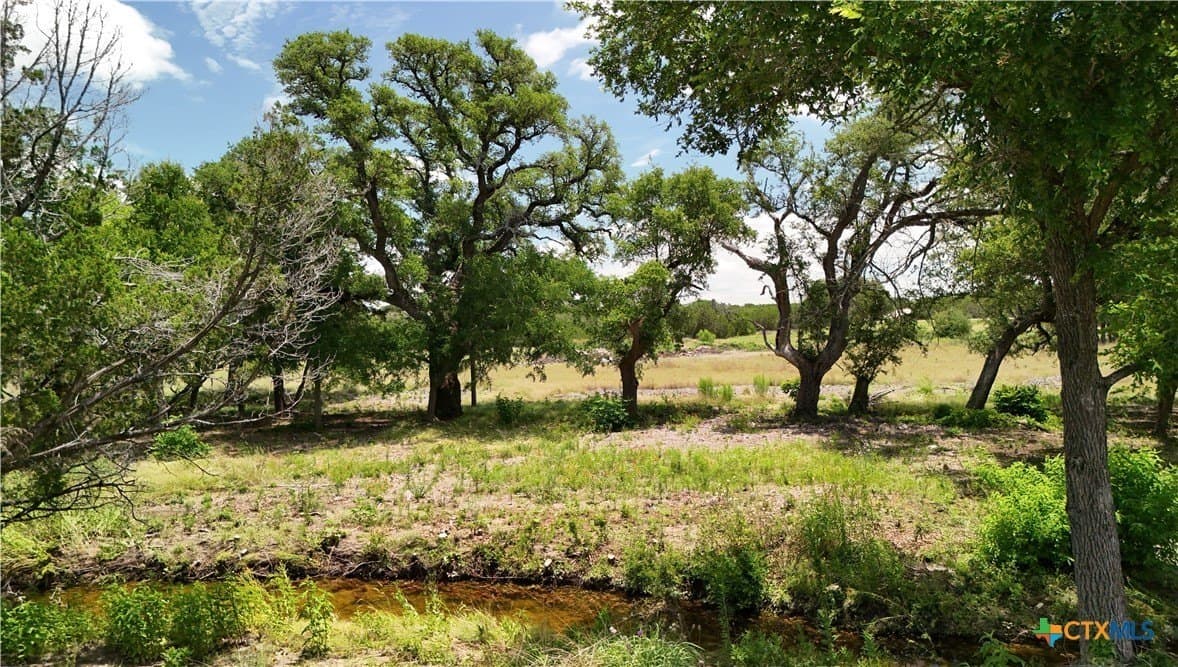 6.44 acres in Burnet County gallery image 4
