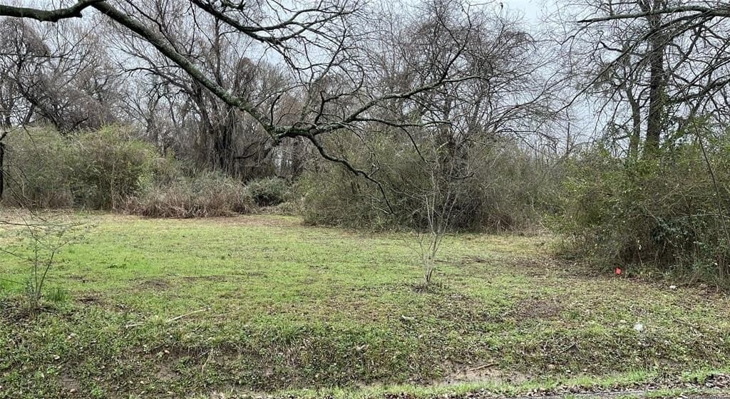 0.11 acres in Lamar County gallery image 2