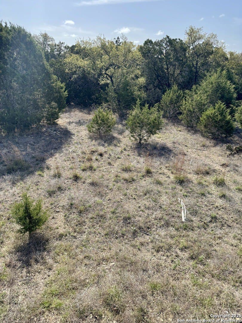 1 acres in Comal County gallery image 3