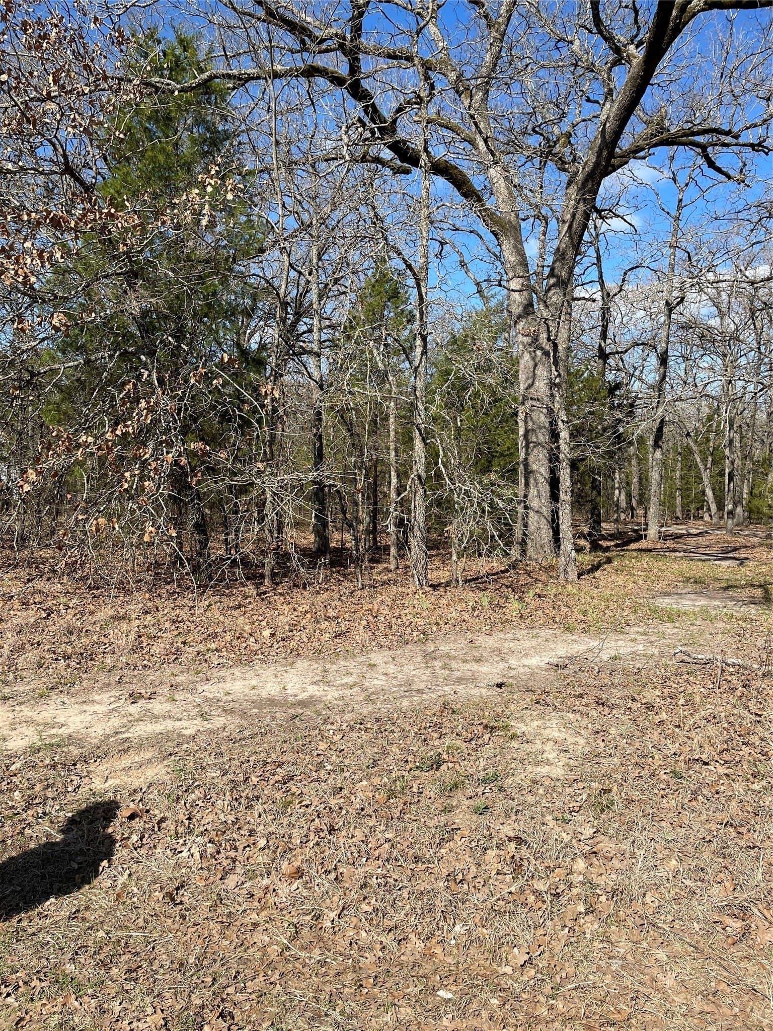 0.11 acres in Henderson County - photo 2