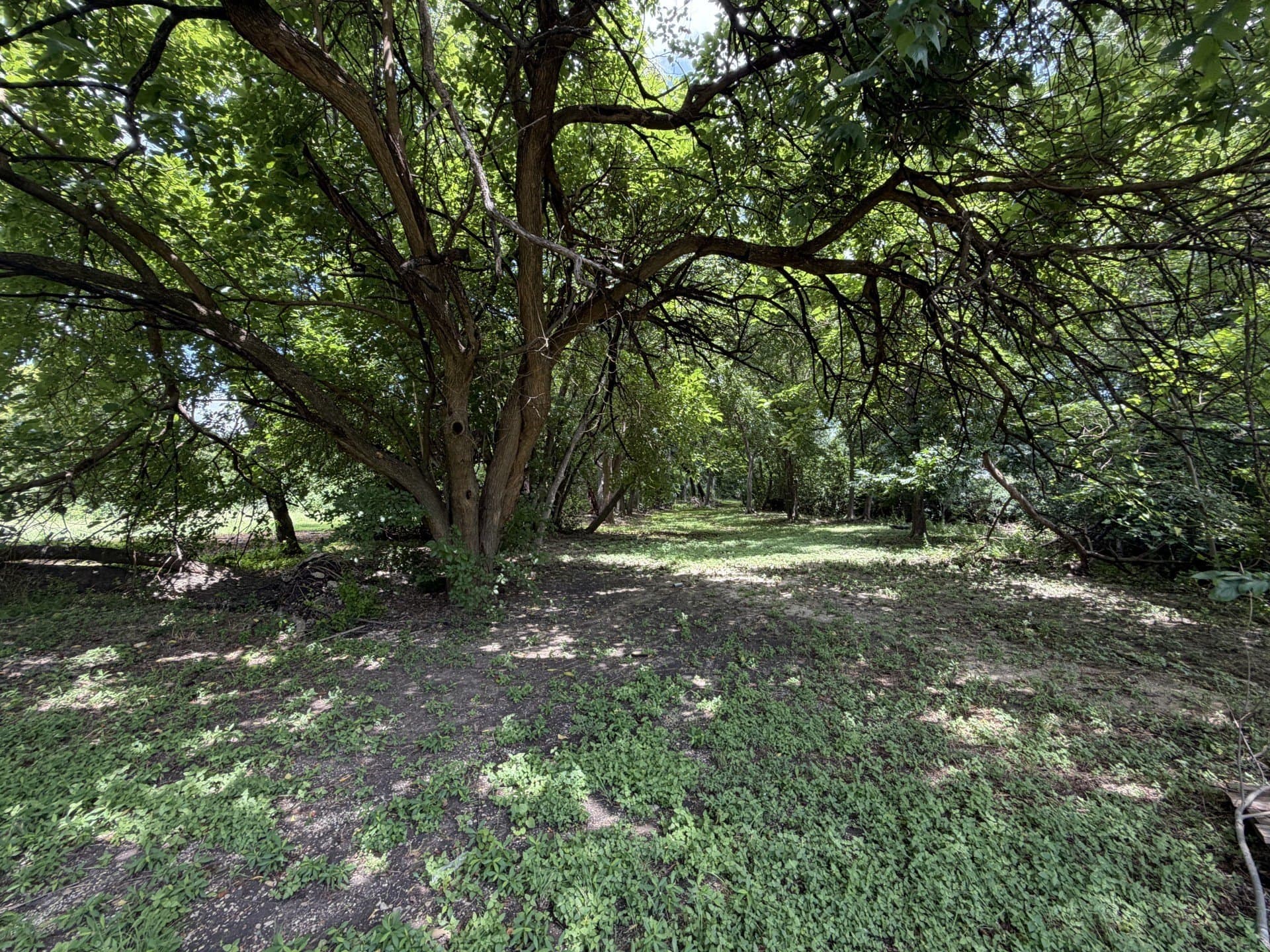 0.77 acres in McLennan County - photo 2