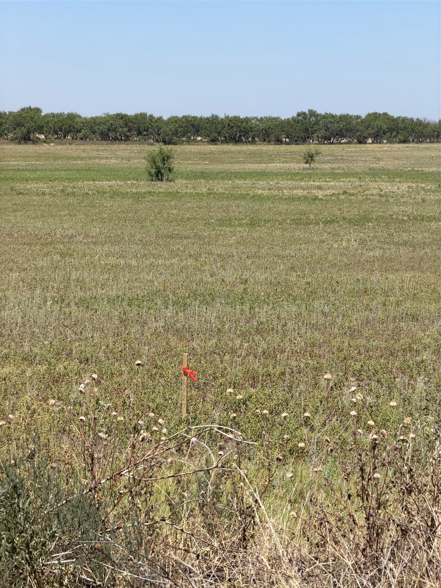 1.83 acres in Jones County - photo 5