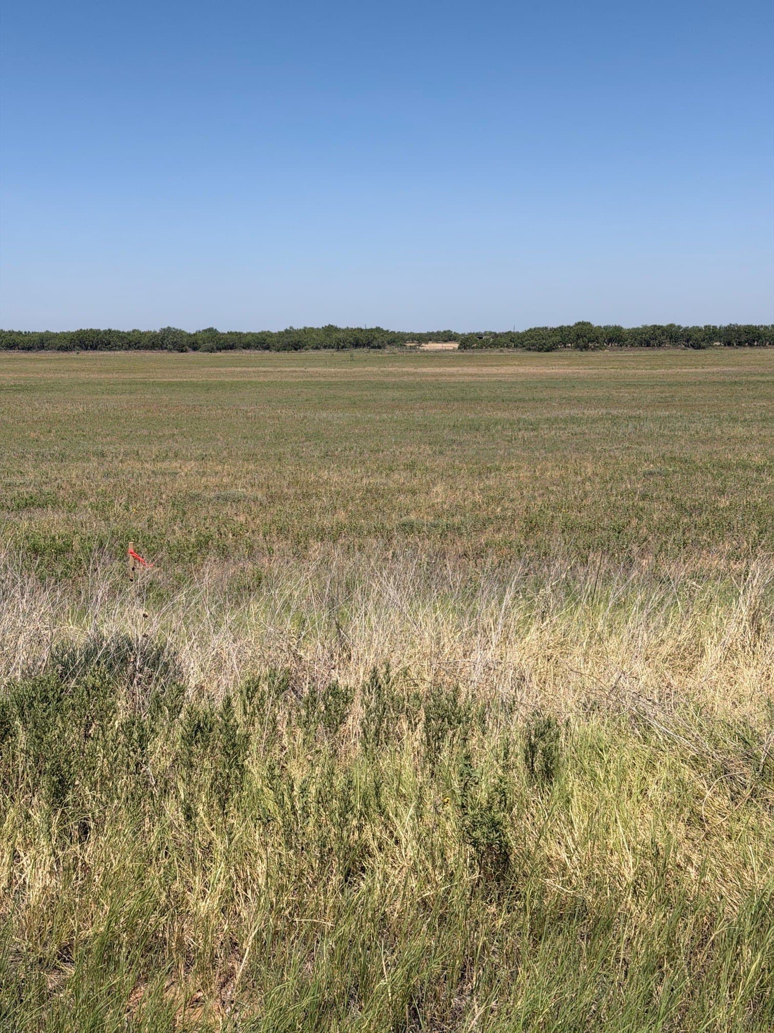 1.83 acres in Jones County - photo 30