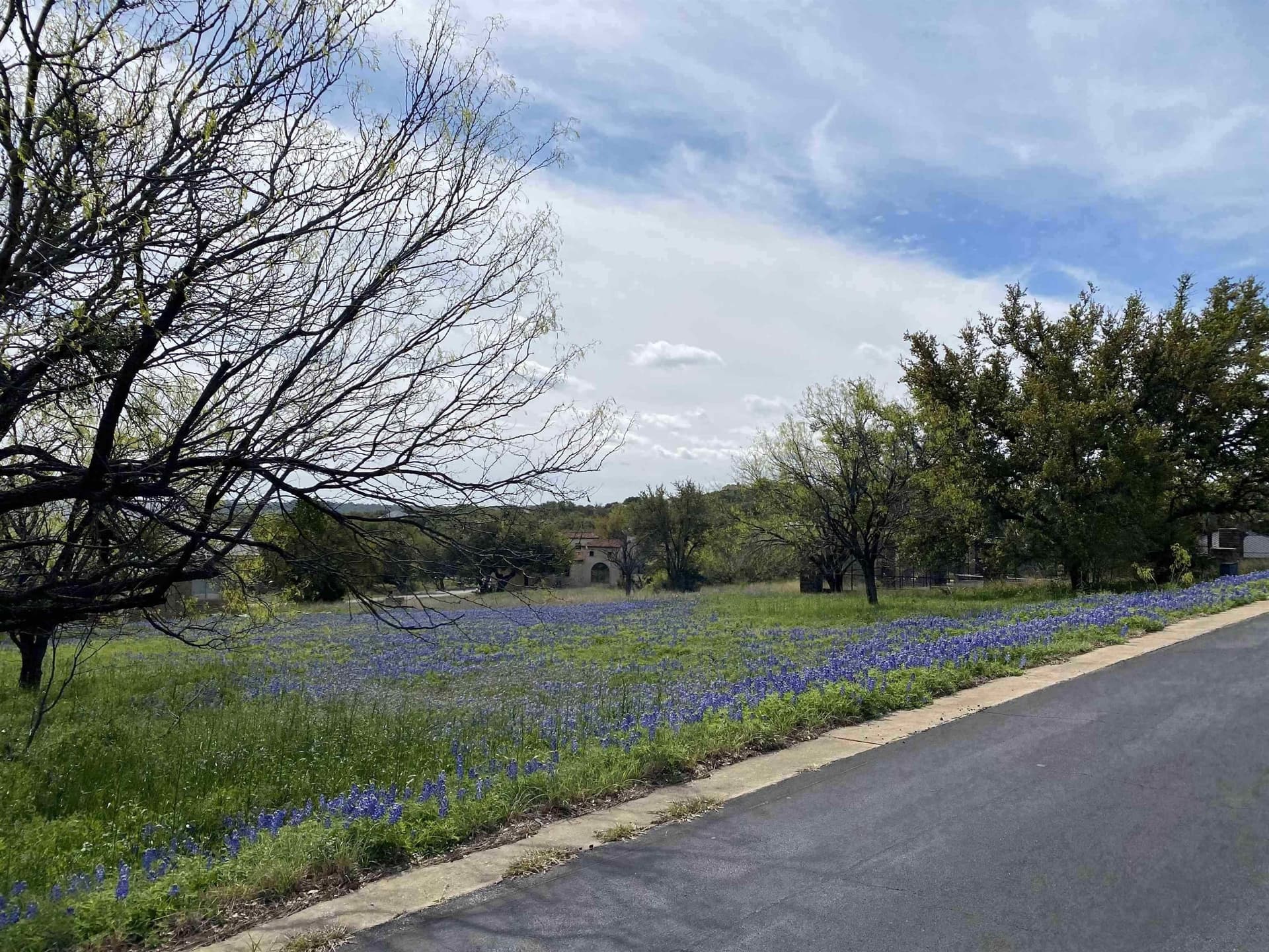 0.36 acres in Llano County gallery image 2