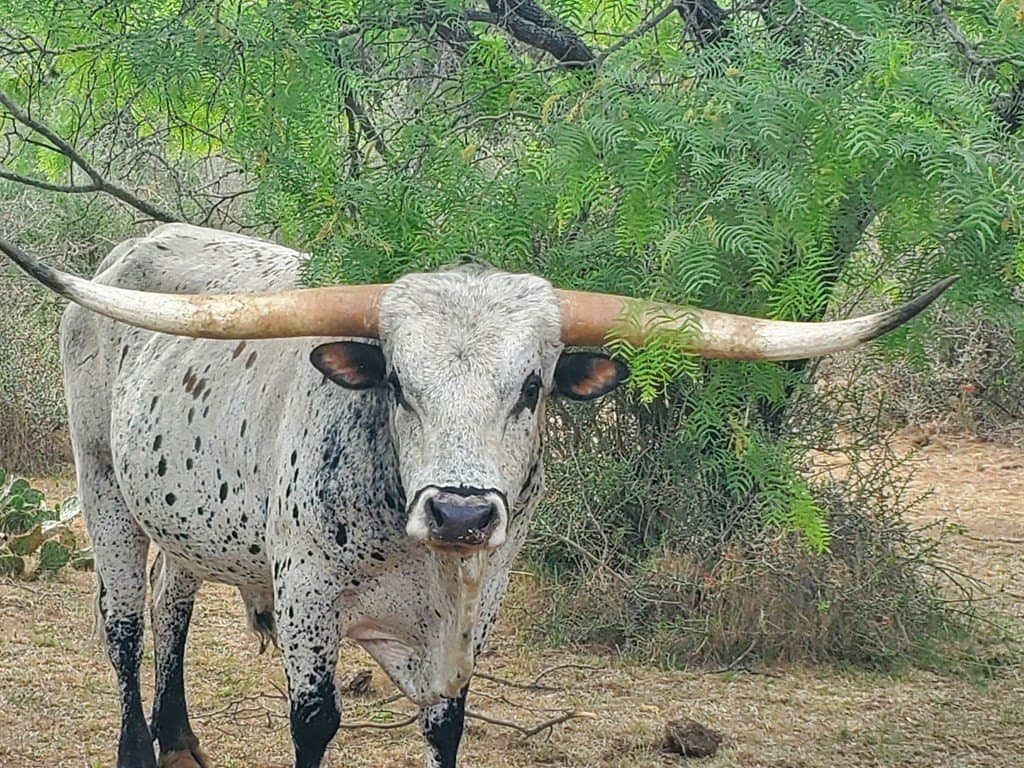 189 acres in Mason County featured view