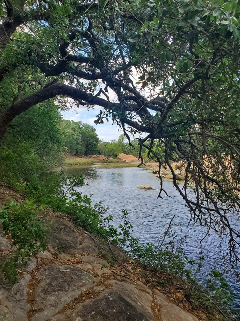 189 acres in Mason County gallery image 4