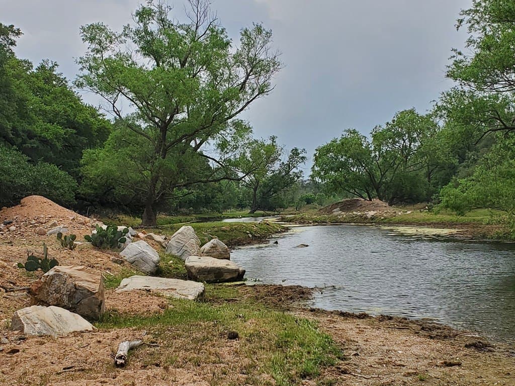 189 acres in Mason County gallery image 3