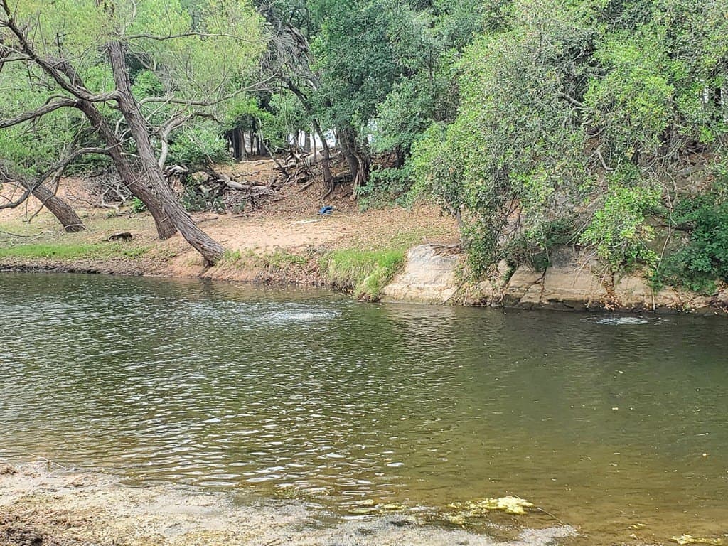 189 acres in Mason County gallery image 2