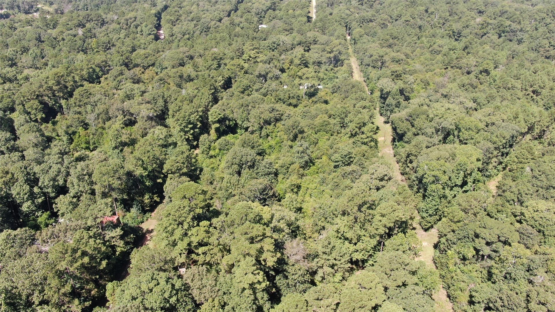 1.15 acres in Liberty County - photo 17